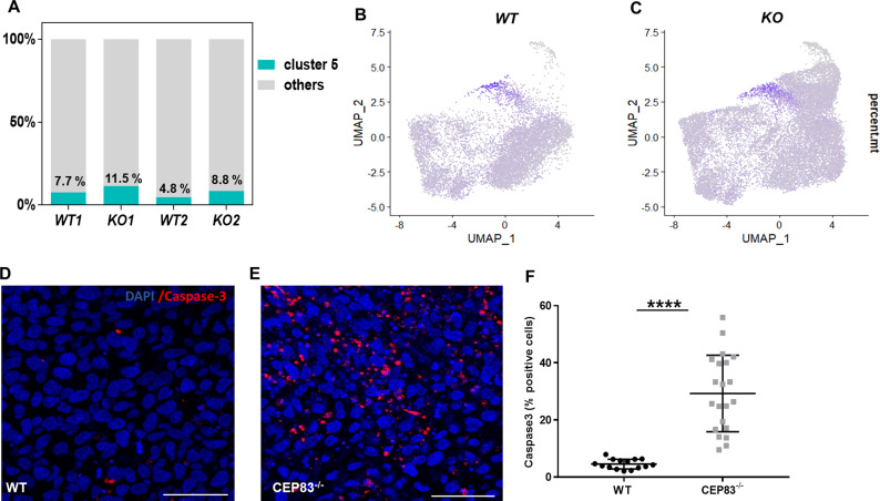 Figure 4—figure supplement 3.