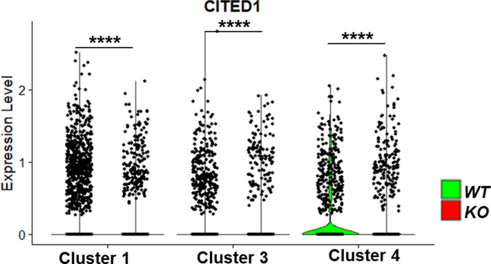 Figure 5—figure supplement 2.