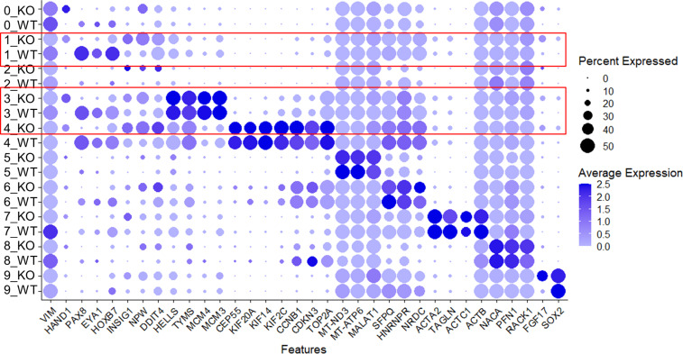 Figure 5—figure supplement 1.