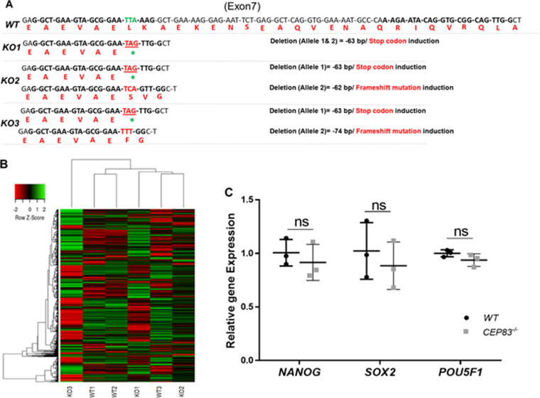 Figure 1—figure supplement 1.