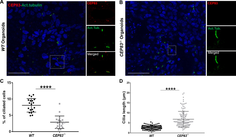 Figure 2—figure supplement 1.