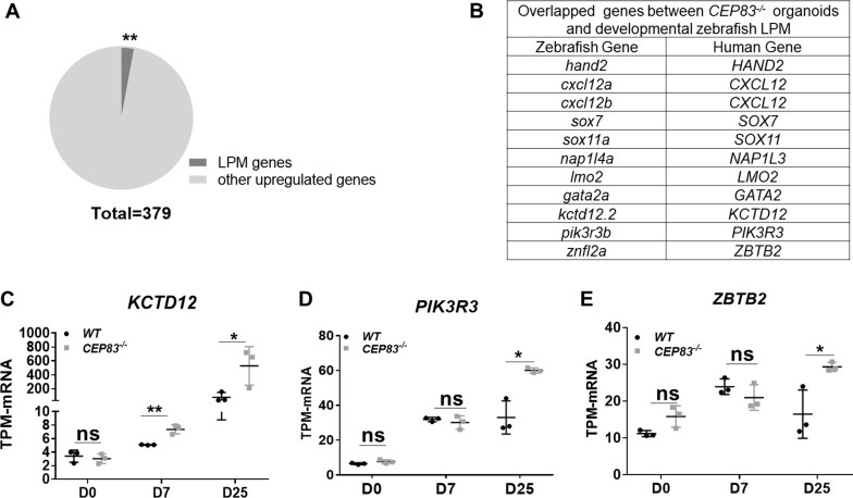 Figure 6—figure supplement 2.