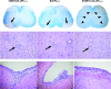 FIG. 2.
