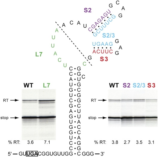 FIGURE 4.