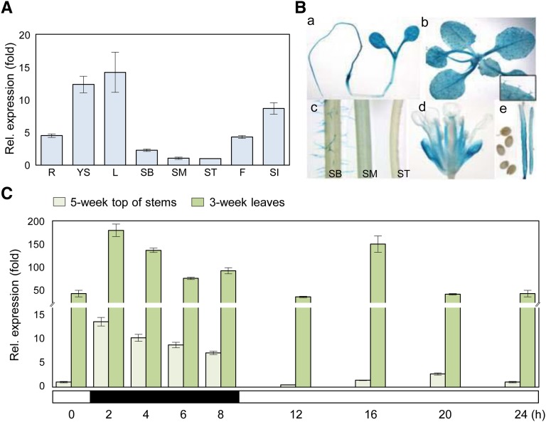 Figure 6.