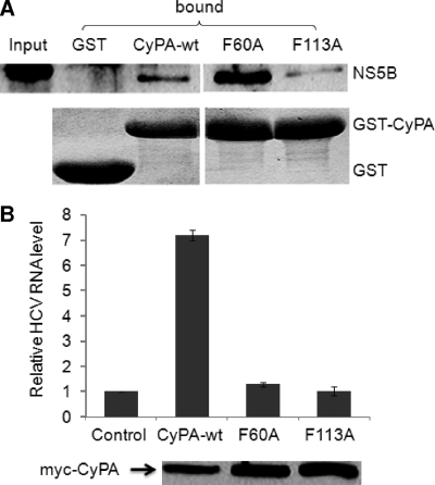 FIG. 8.