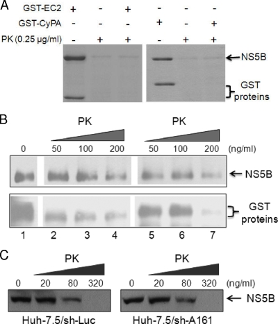 FIG. 6.