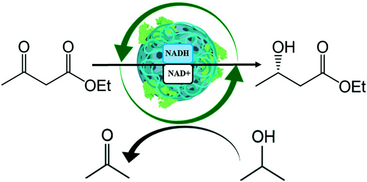 graphic file with name d1cy00268f-ga.jpg