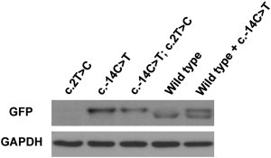 Figure 3