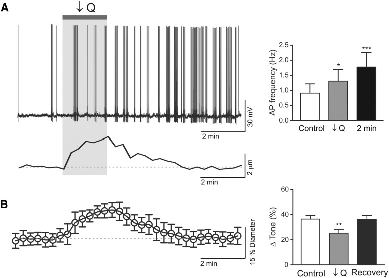 Figure 11.