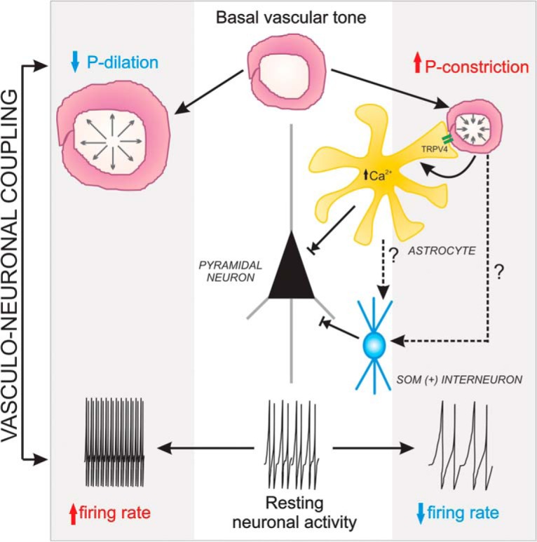 Figure 12.