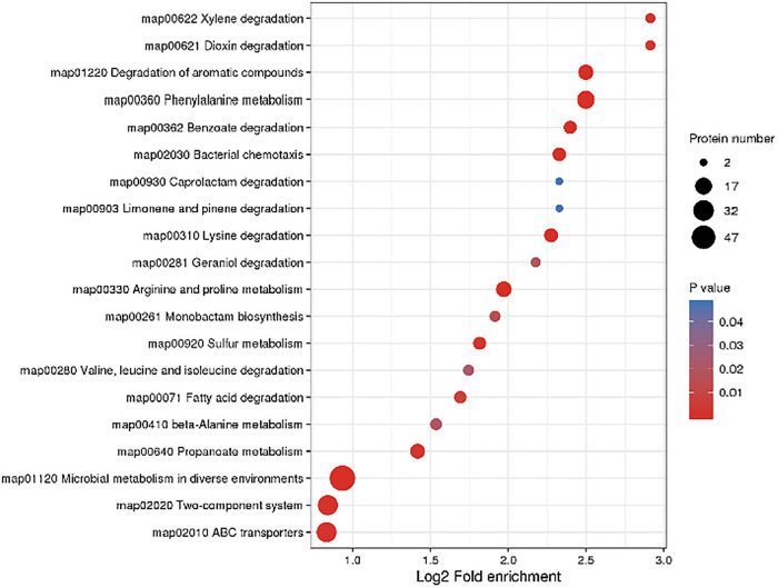 FIGURE 3