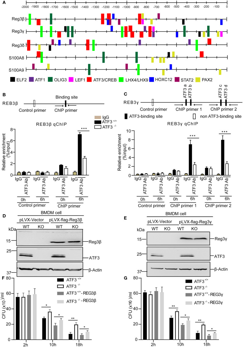 Figure 6