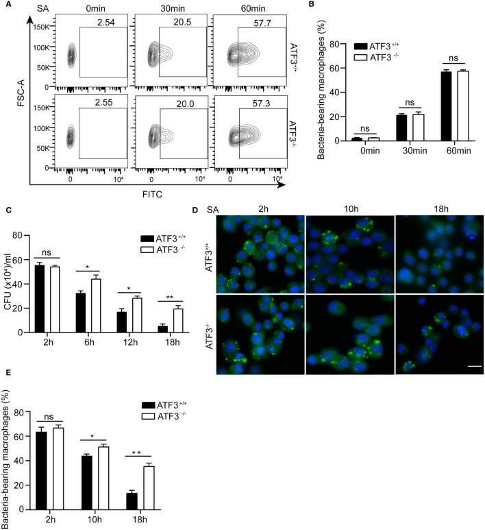 Figure 3