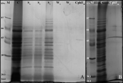 FIG. 6.