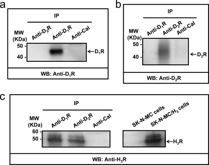 FIGURE 7.