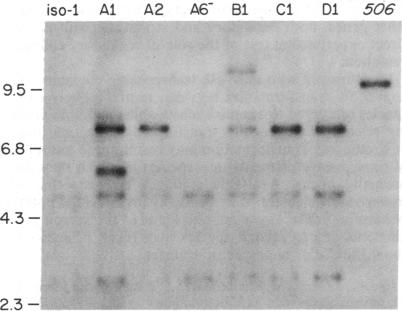 graphic file with name pnas00624-0256-a.jpg