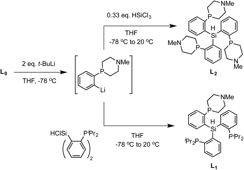 Scheme 2