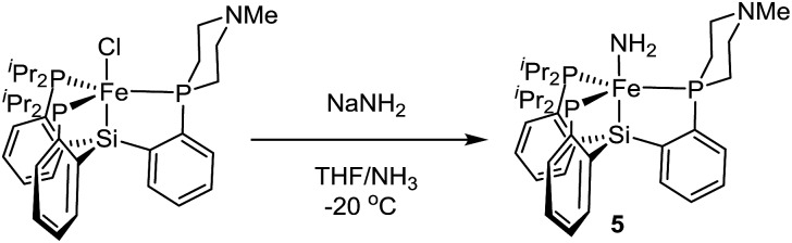 Scheme 5