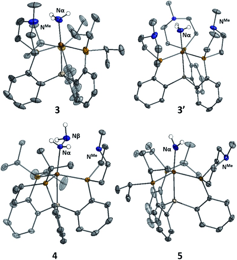 Fig. 4