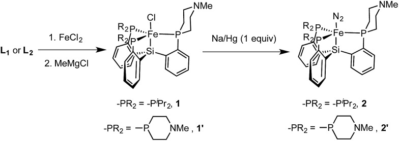 Scheme 3