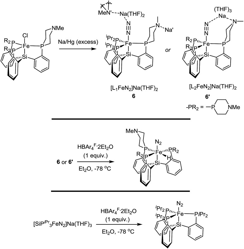 Scheme 6