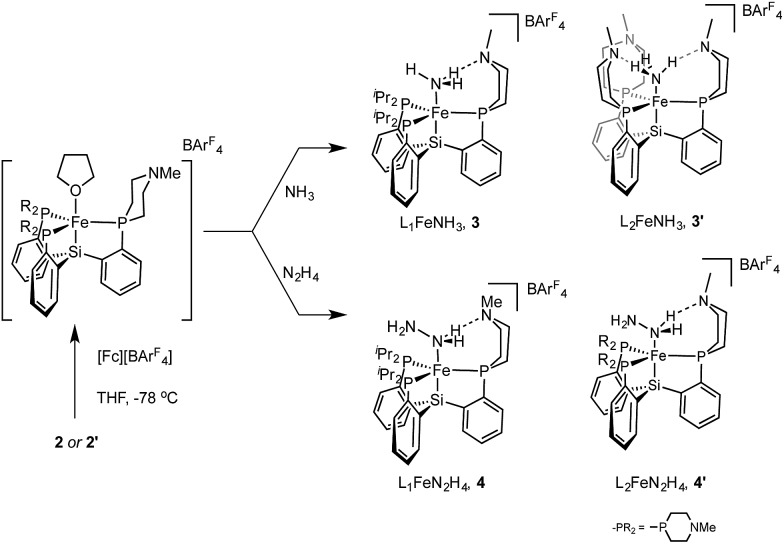 Scheme 4