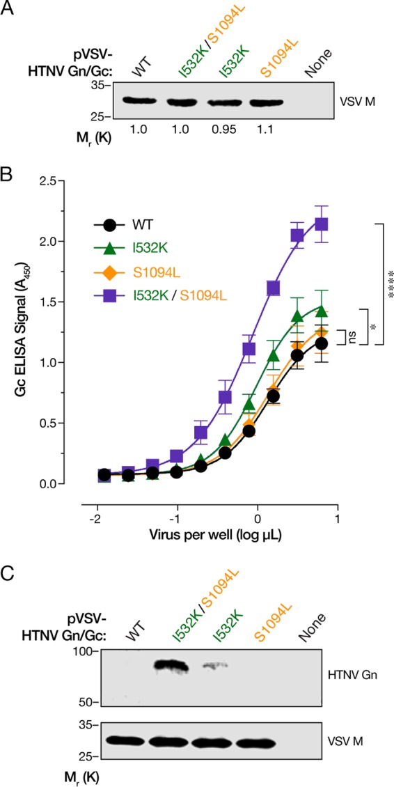 FIG 6