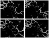 Figure 2.3