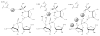 Figure 2.6