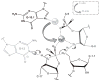 Figure 2.2