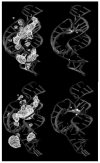 Figure 2.9