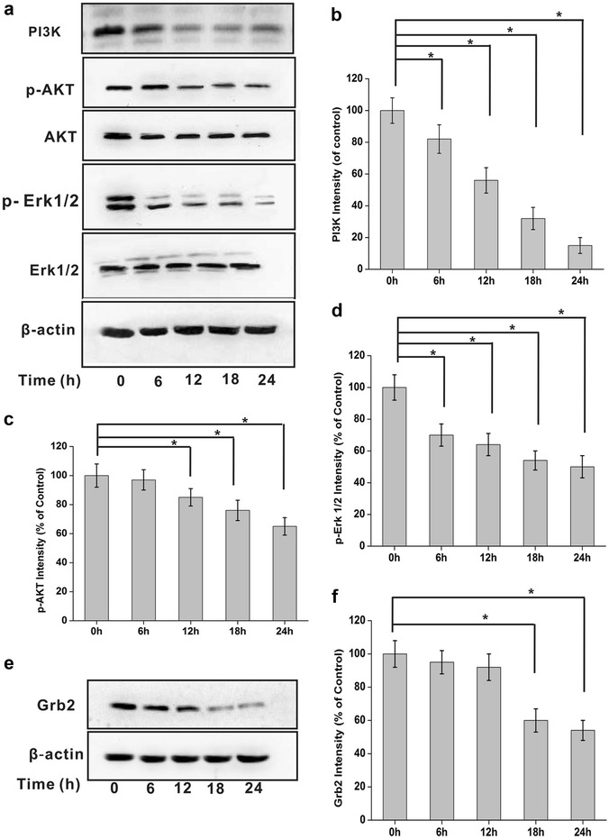 Fig. 7