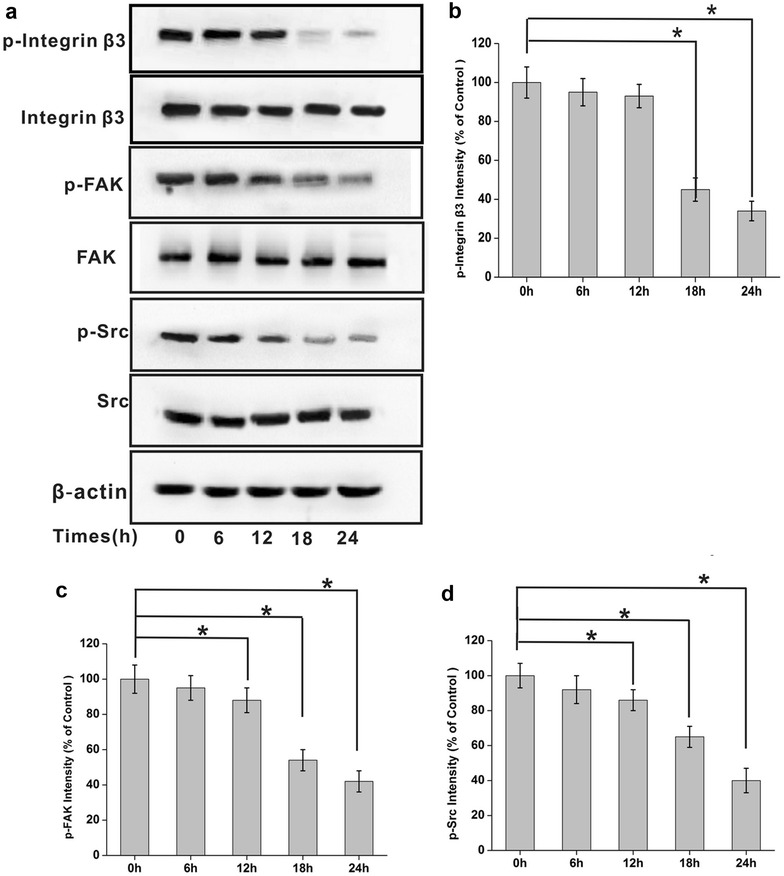 Fig. 6