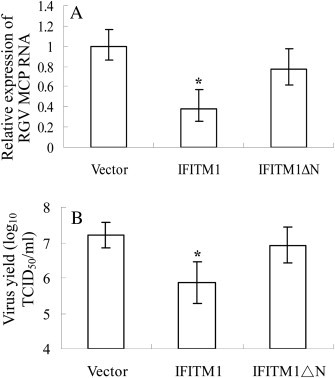 Fig. 7