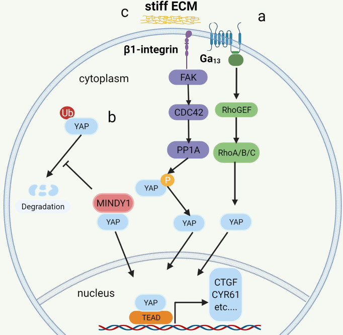 Figure 3