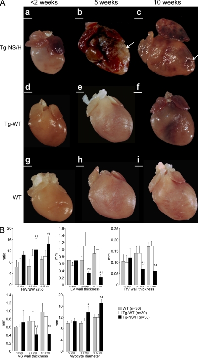 Figure 5.