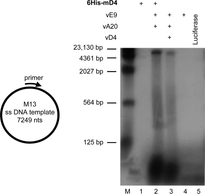 FIG 4