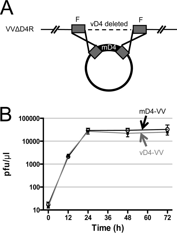 FIG 6