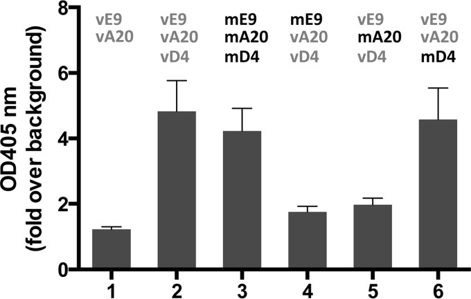 FIG 2