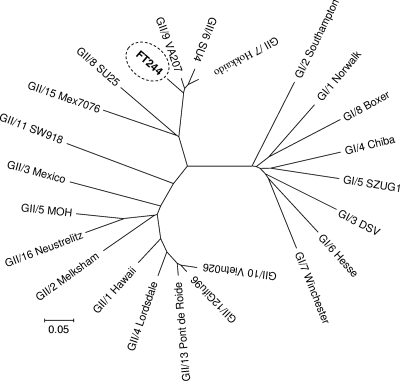 FIG. 2.