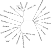 FIG. 2.