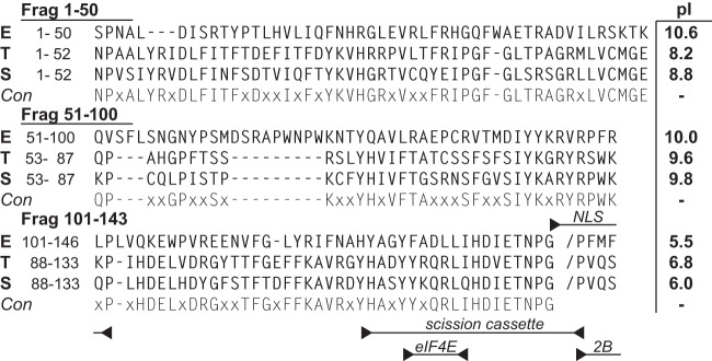 FIG 1