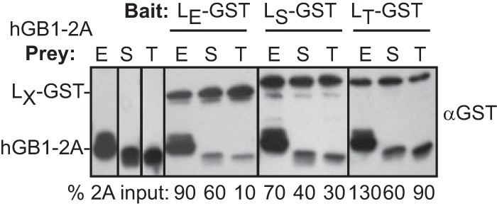 FIG 5