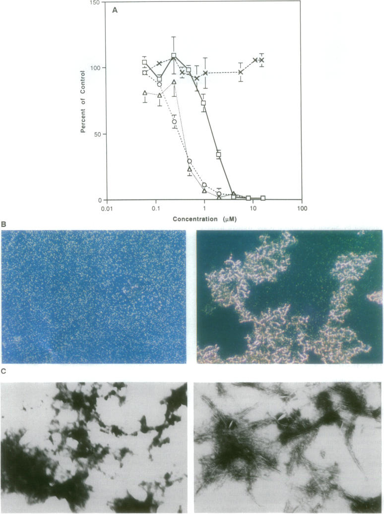 graphic file with name pnas01140-0072-a.jpg