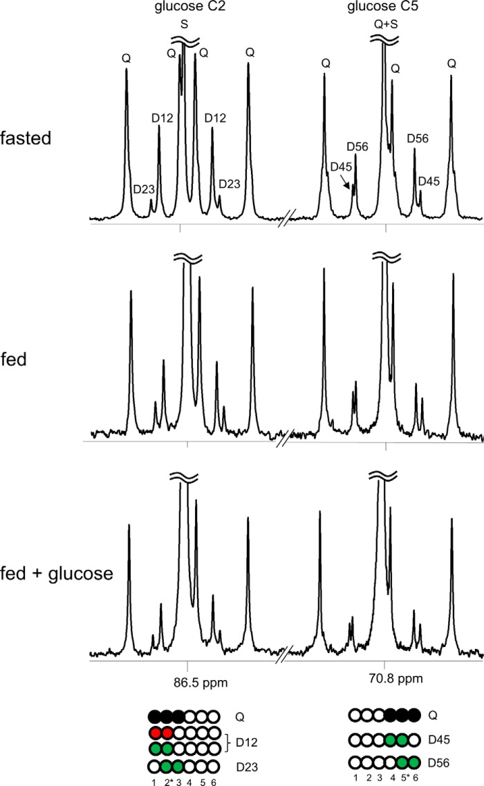 FIGURE 5.