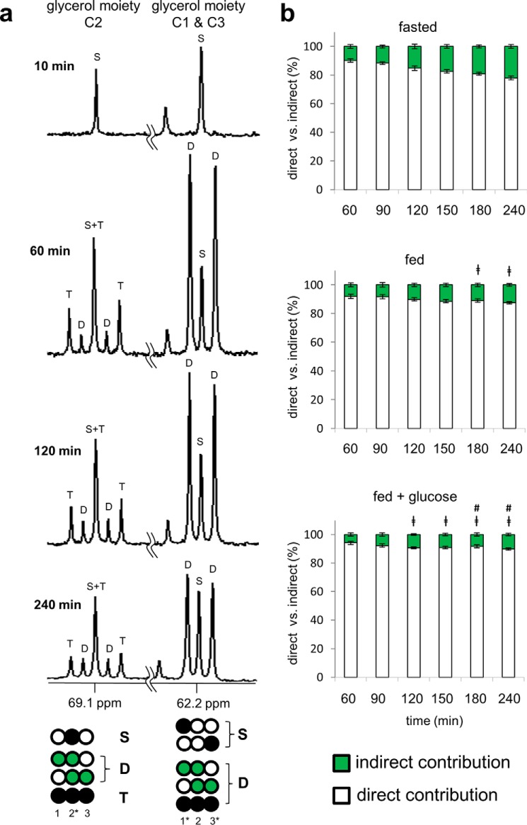 FIGURE 3.