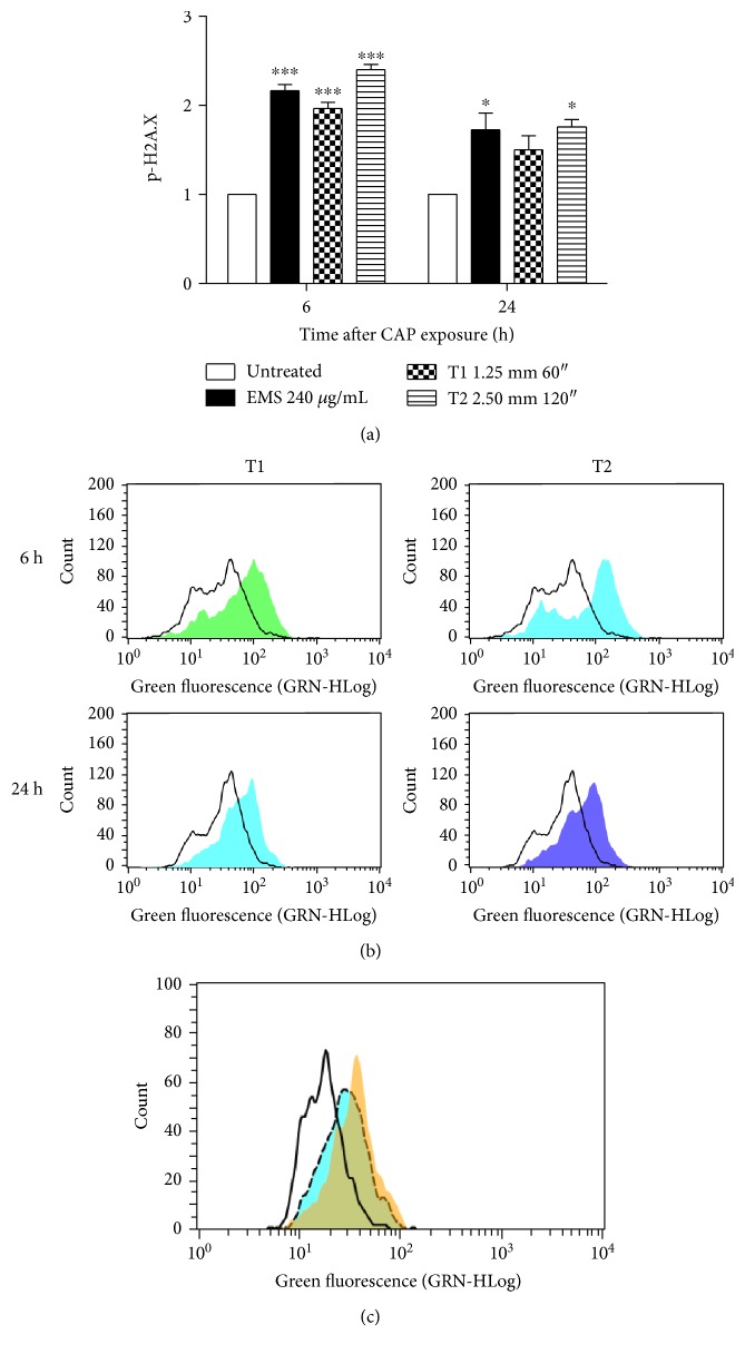 Figure 5