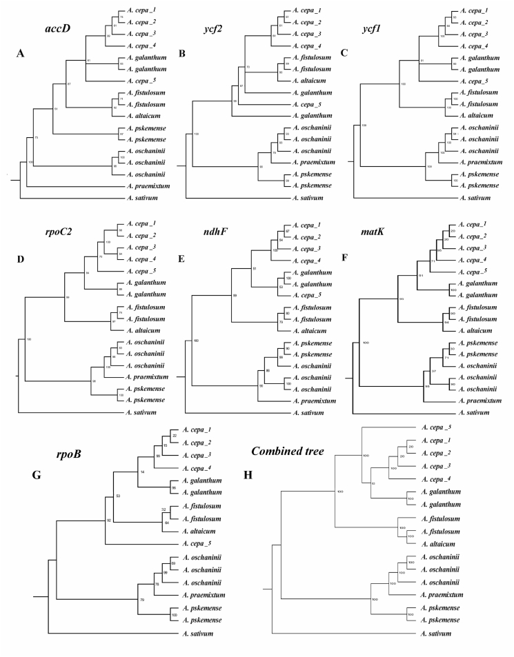 Fig. 4