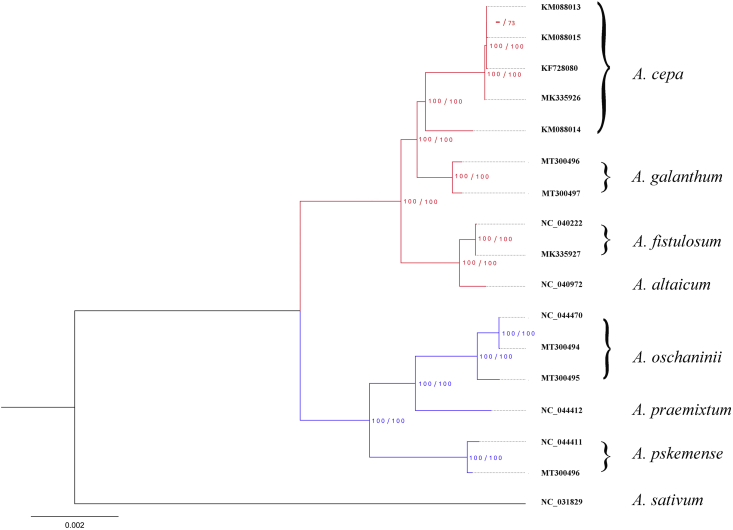 Fig. 3